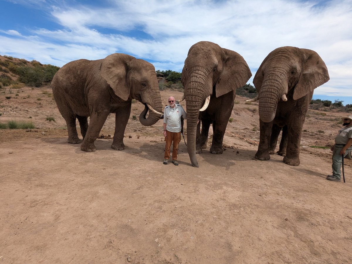 Neil Hobbs tweet media