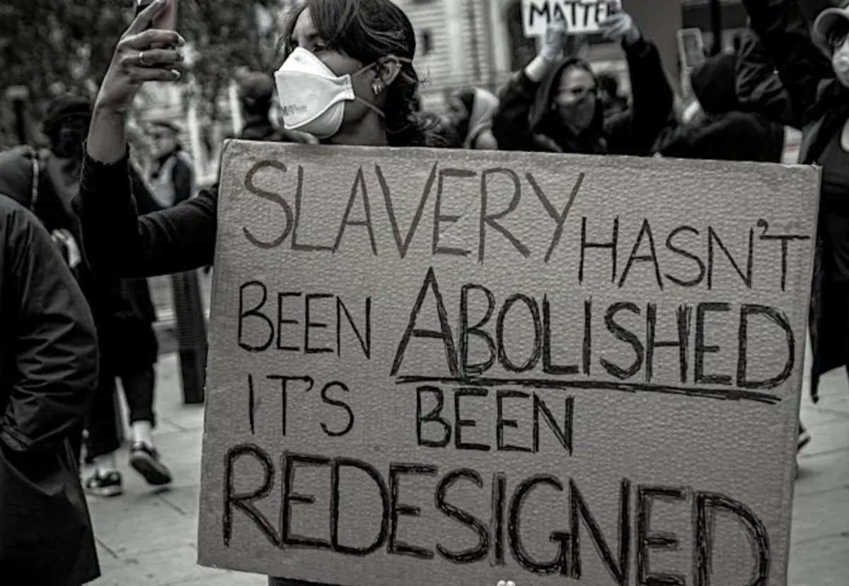 Windrush 100 Network tweet media