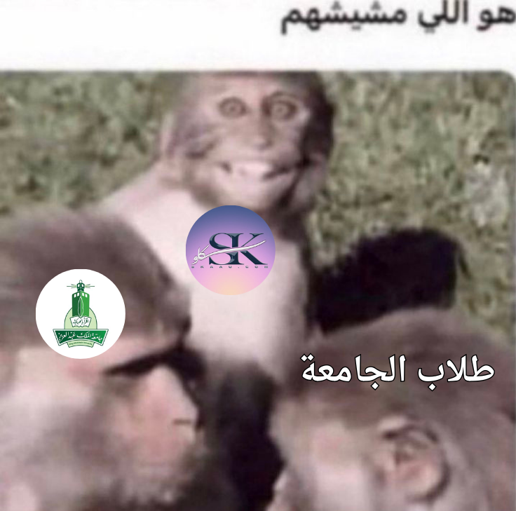 Mai Alkadi | مَيّ القاضي tweet media