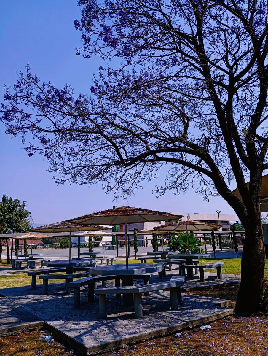 Buenos días!!
#FelizLunes 
#Tranquilidad