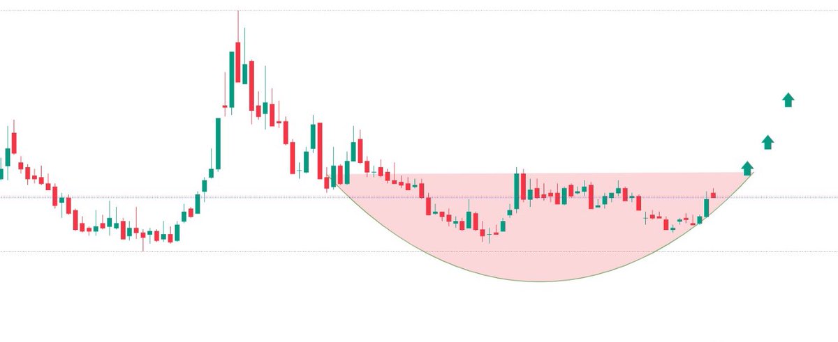 admiinborsa's tweet photo. #Pekgy’i 10 tavan ile götüren ekip, oradan çıkan paralar ile #tera kurumundan yeni hisse toplamaya başladılar #tehol gibi, şuan hisse dip maliyetten işlemde %94’i anlık toplu sadece, hisse 10x yapacak takip et beğeni rt ve yorum bırak dm kutularınıza tek tek yazıyorum ✍️ https://t.co/PLL3z7eXDo