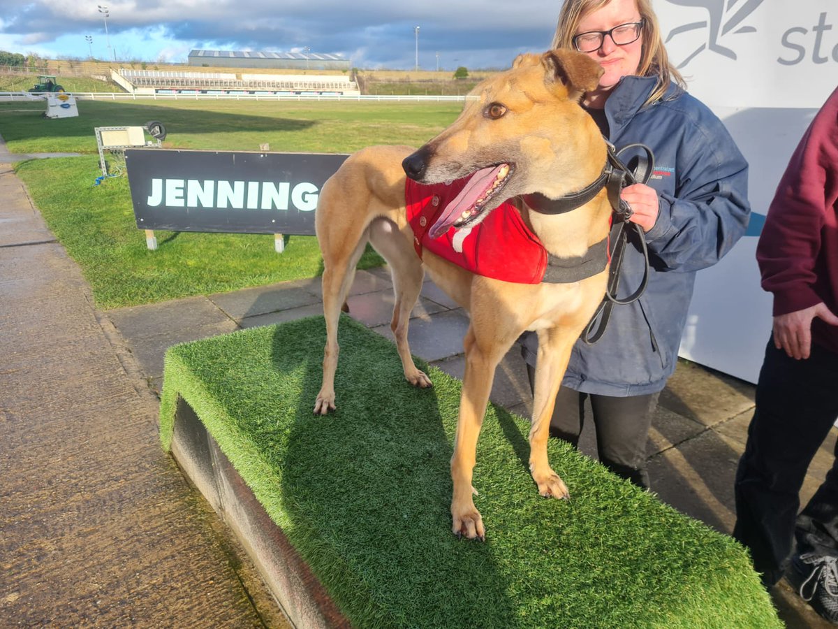 Central Park Stadium tweet media