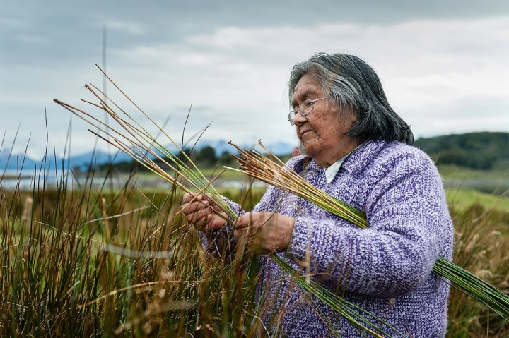 fotohistoriacl's tweet photo. 🕊️ Hace 4 años (2022), falleció Cristina Calderón, última hablante nativa del yagán, símbolo vivo del patrimonio cultural del extremo sur y de la urgencia por preservar las lenguas originarias. https://t.co/AzWmT1KYT0