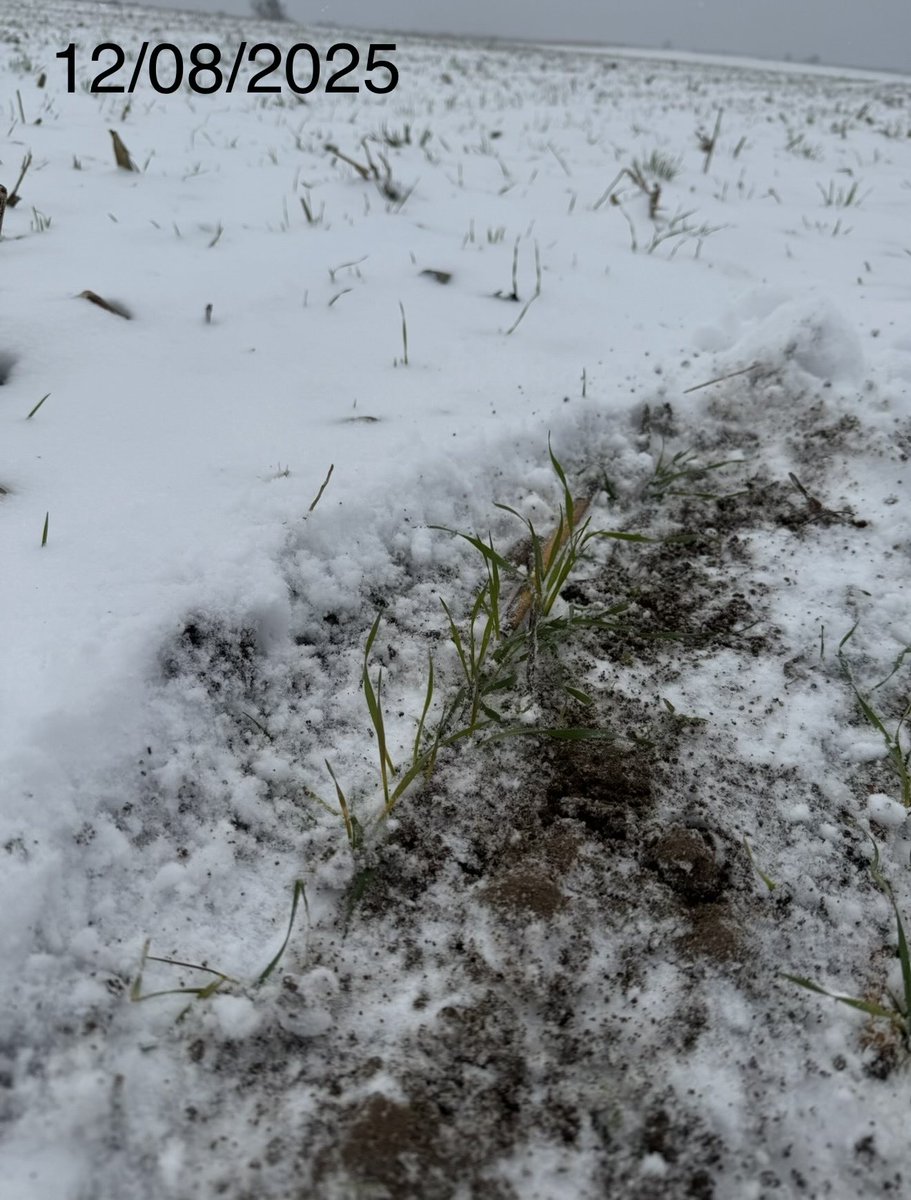 Chad Lee 🧢 tweet media