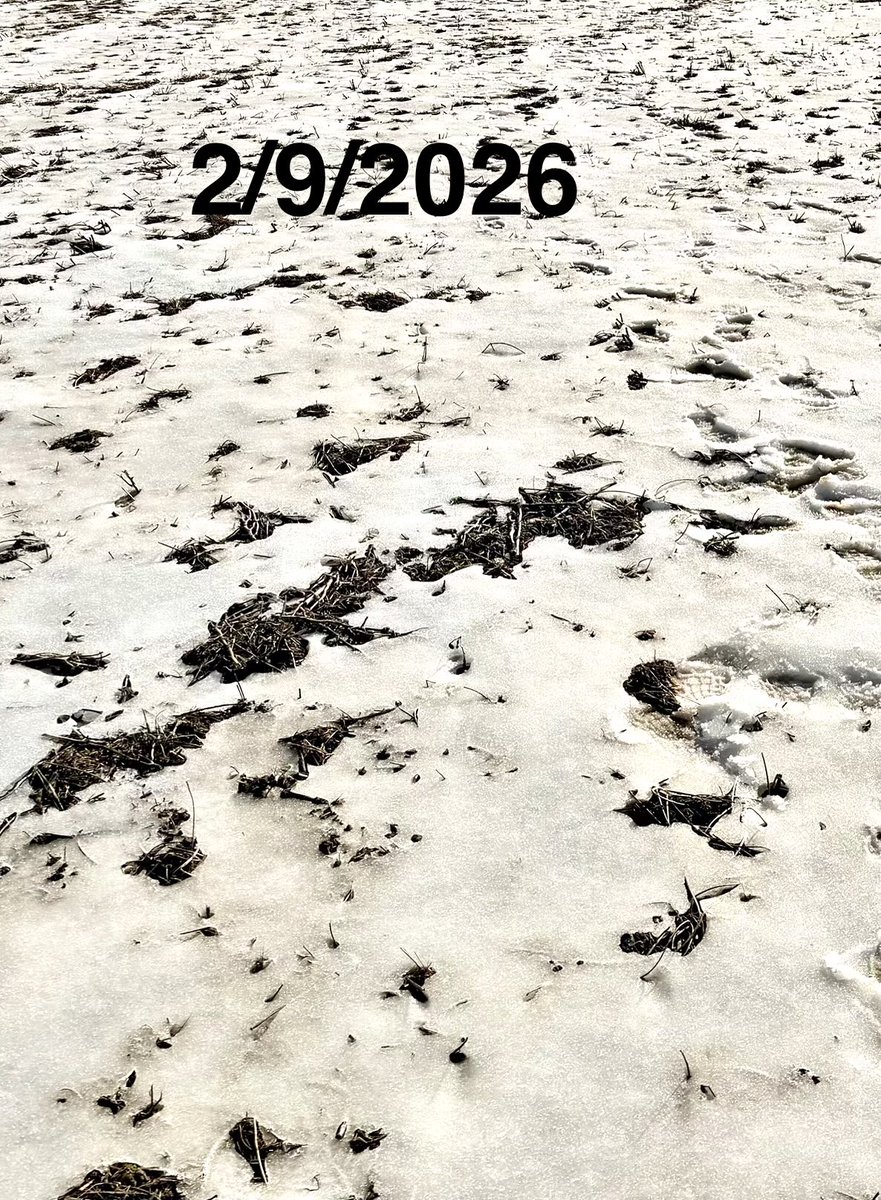 Chad Lee 🧢 tweet media