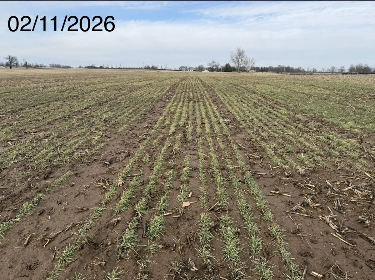 Chad Lee 🧢 tweet media