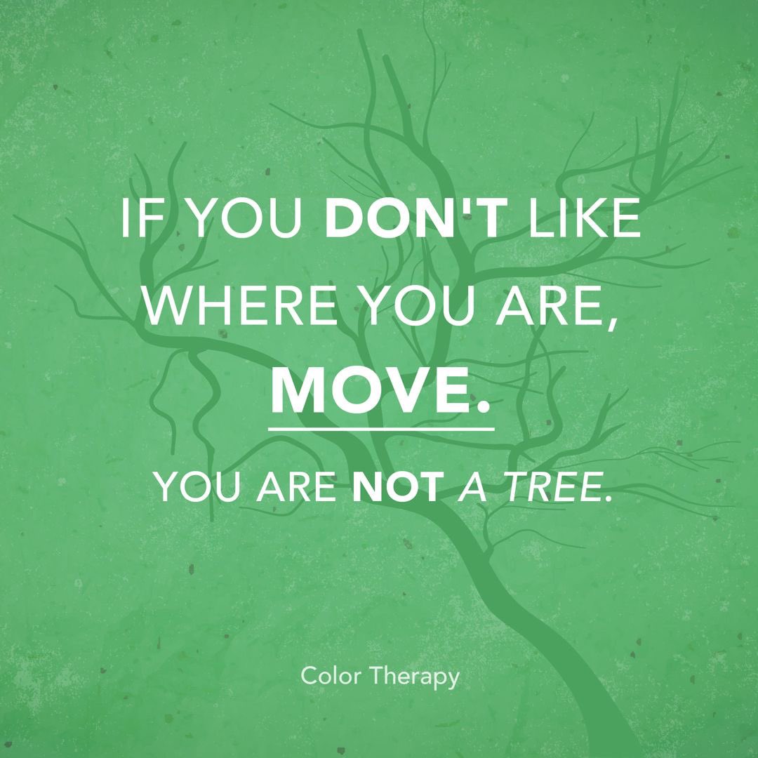 Color Therapy App tweet media