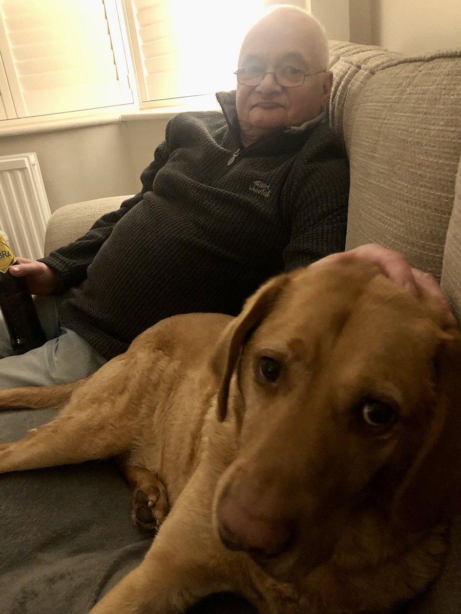 Valerie Dewhurst🎓📚🐕🦺🌻 tweet media