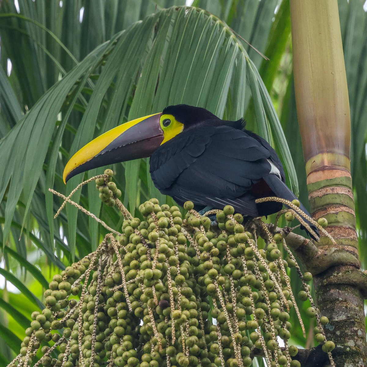 JOHN HARRIS tweet media