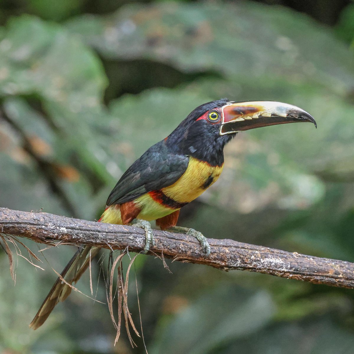 JOHN HARRIS tweet media