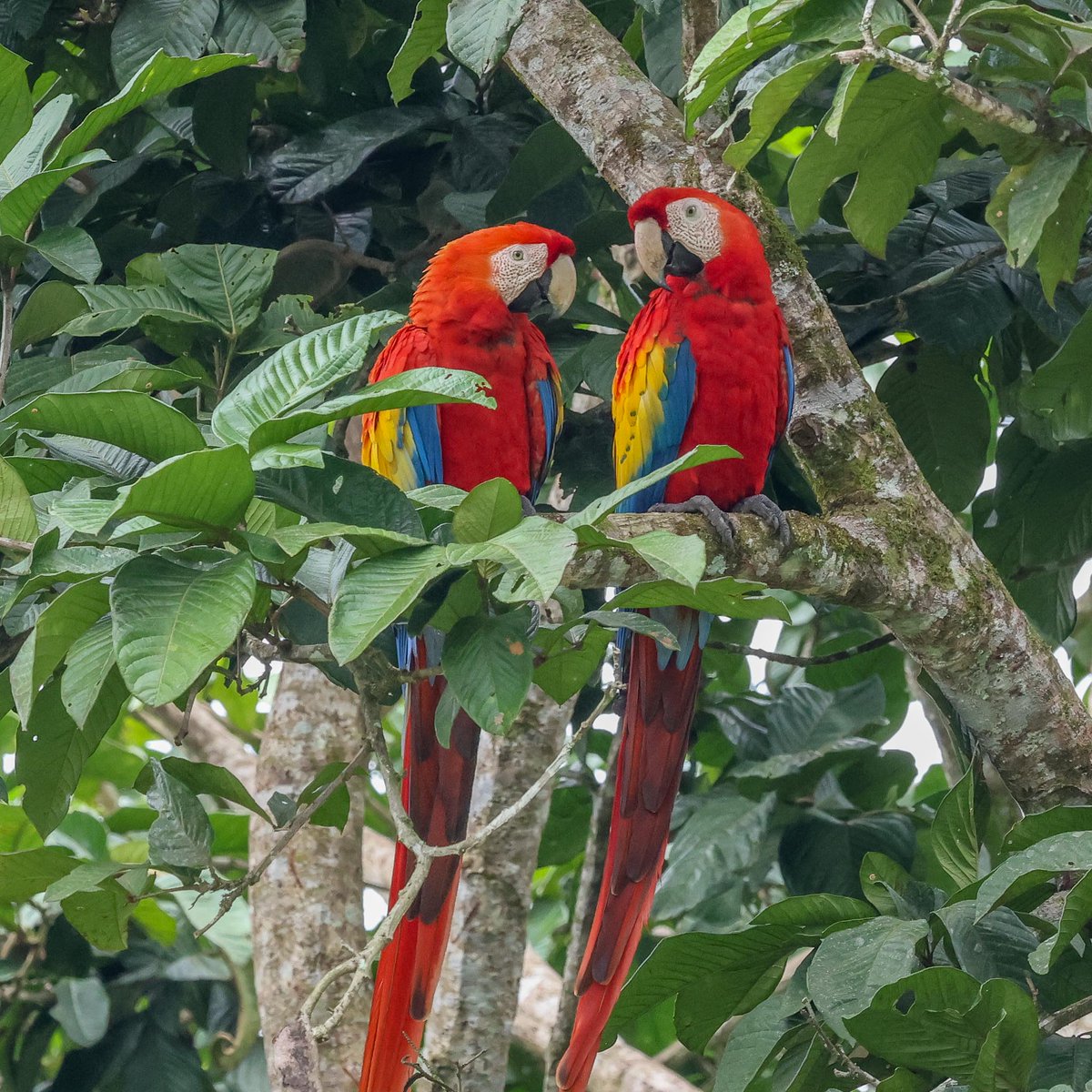 JOHN HARRIS tweet media