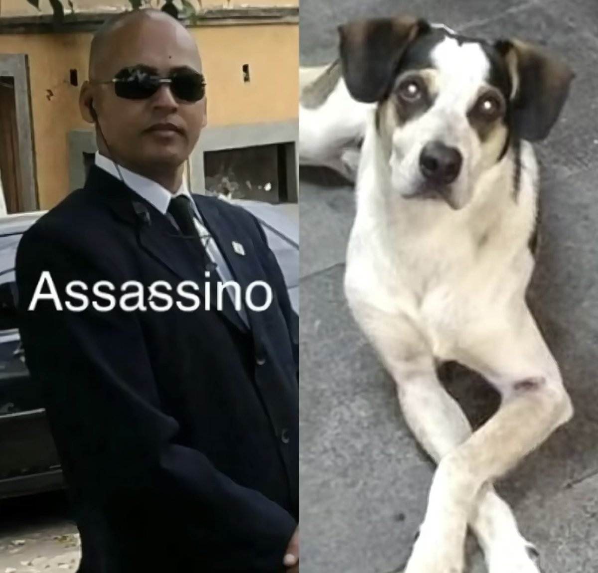 Por onde será que anda o segurança que matou o Manchinha no Carrefour?

Nada foi esquecido. Nada foi perdoado.

#JustiçaPorOrelha #JustiçaPorManchinha 🐾✊