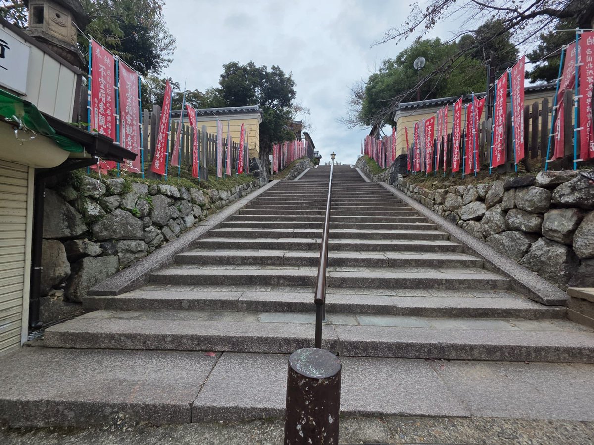 Guldur201's tweet photo. 🦌 
- Nara, Japan 🇯🇵 

#日本 #鹿 #narapark https://t.co/PyetR3lyci