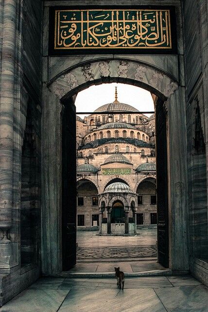 Büyükler buyurdular ki:

Allah’tan korkmalı, hiçbir Müslümanın aleyhinde konuşmamalı. Biz onun hesabını görmekle görevlendirilmedik. Allah kuluna zulmetmez. Eden kendine eder. Hata kusur görmeyelim. Olmuşsa da affedelim. Hep iyi tarafını görelim, hep iyi tarafını konuşalım, hep
