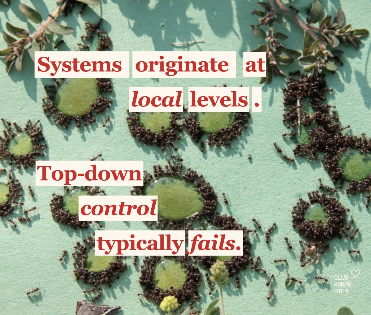 Kelsey S. Moore, PhD🔬 tweet media