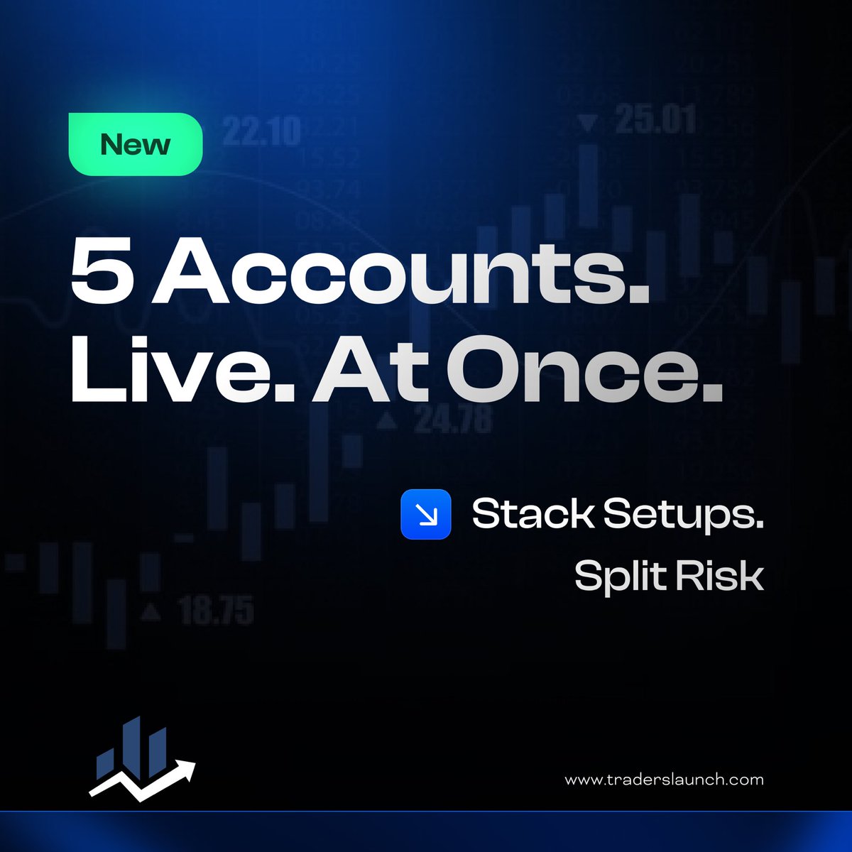 Traders Launch tweet media