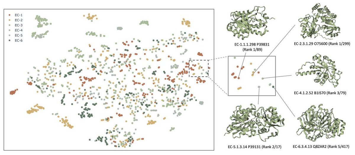 Jorge Bravo Abad tweet media