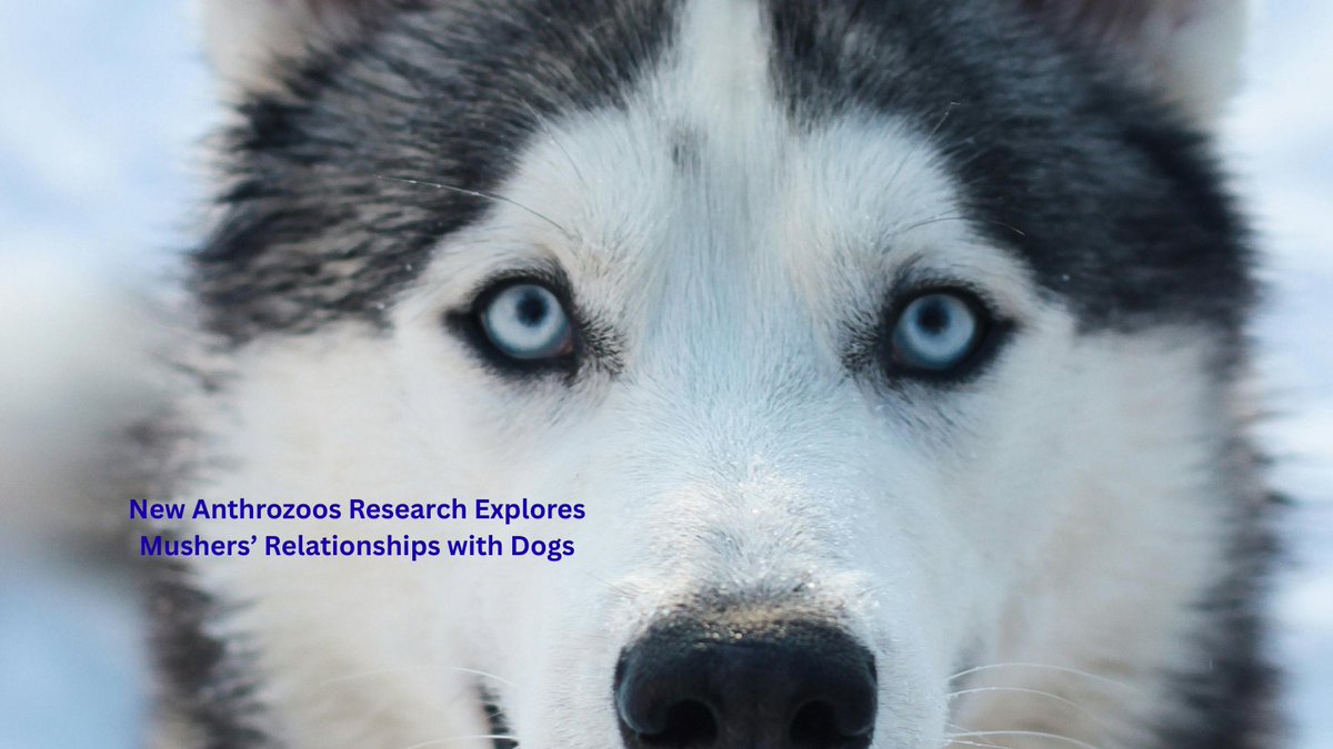 Anthrozoös Journal tweet media