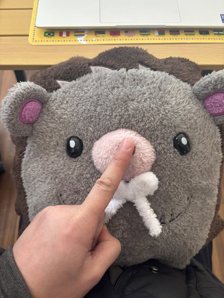 fxlateengineer's tweet image. うにぐりくん！ずっと可愛がるんだかんね！