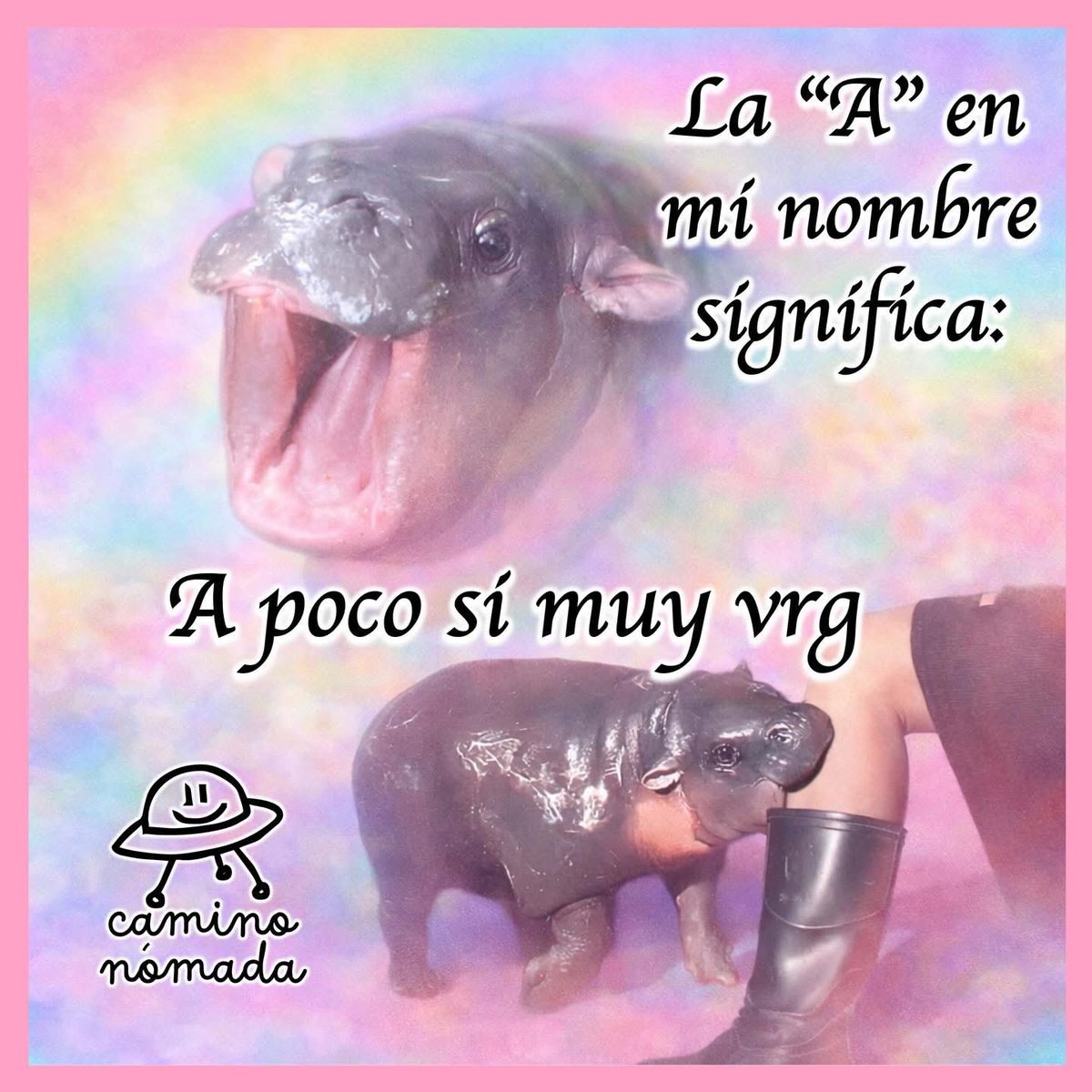MexicoMagico's tweet photo. https://t.co/P0c6GnaD7v