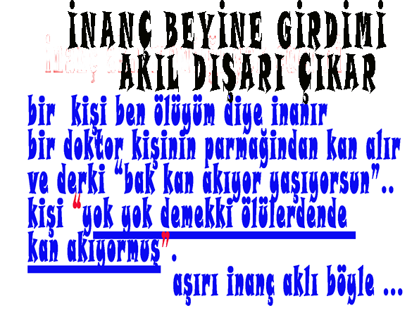 altun_ma's tweet photo. @ckayacanan https://t.co/yt5RZtBnEf