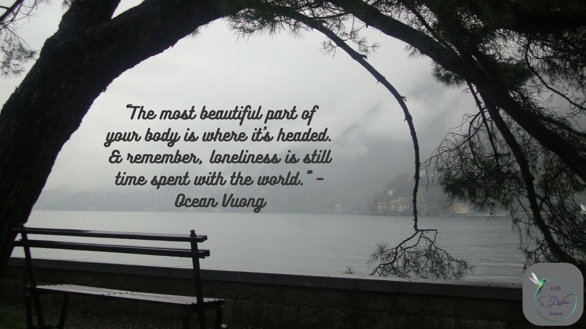 “The most beautiful part of your body is where it’s headed. &amp; remember, loneliness is still time spent with the world.” – Ocean Vuong

authorsjwalker.com
#mindfulness #wellness #mindset #life
