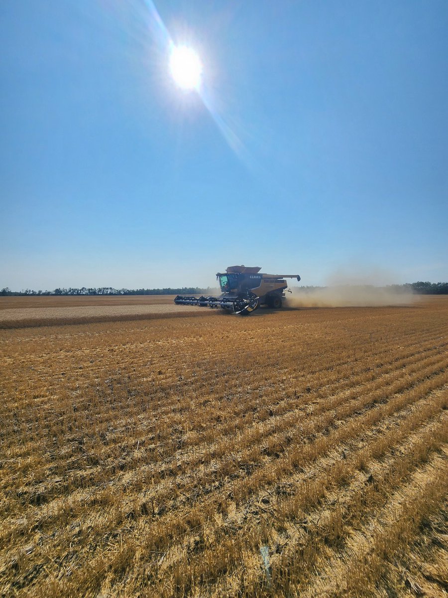 Matthew Szpakowski tweet media