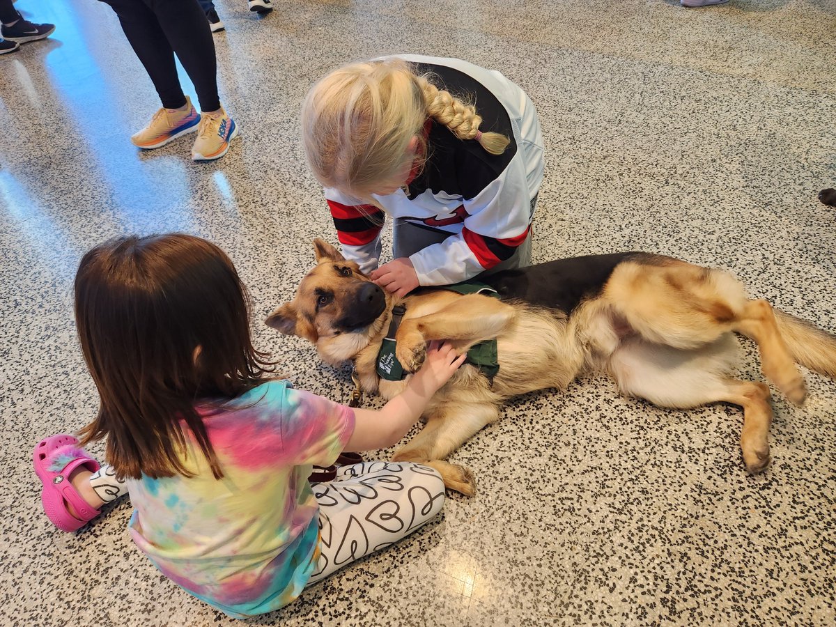 The Seeing Eye tweet media