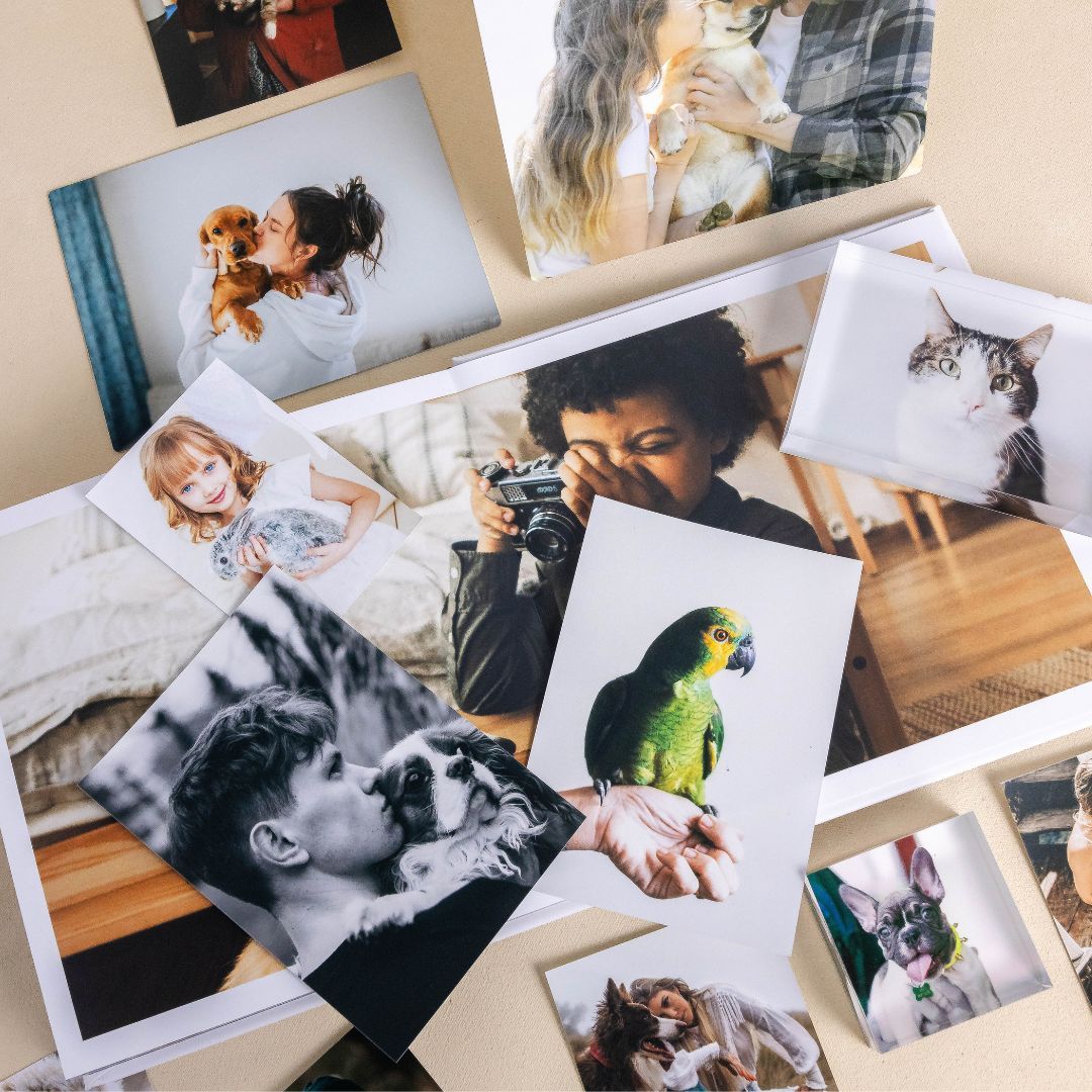 Printique by Adorama tweet media