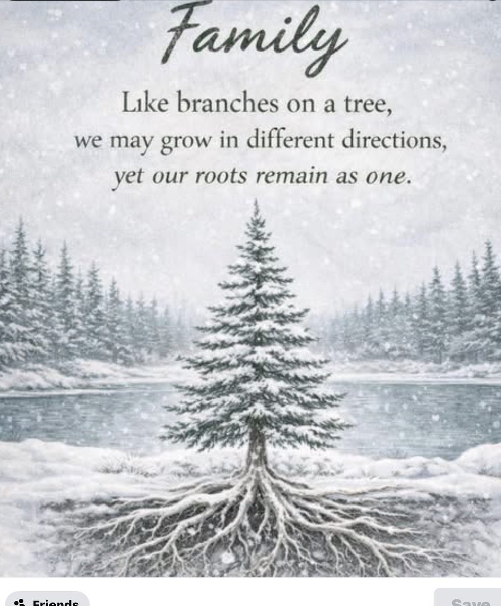 Trudy Sachowski tweet media