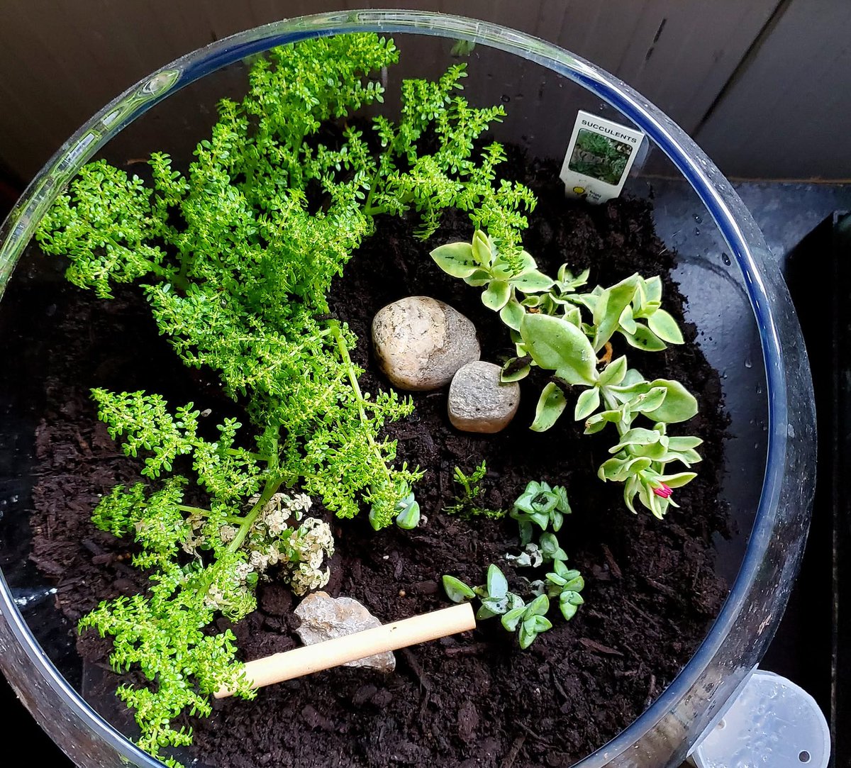 Wendy Spickerman tweet media