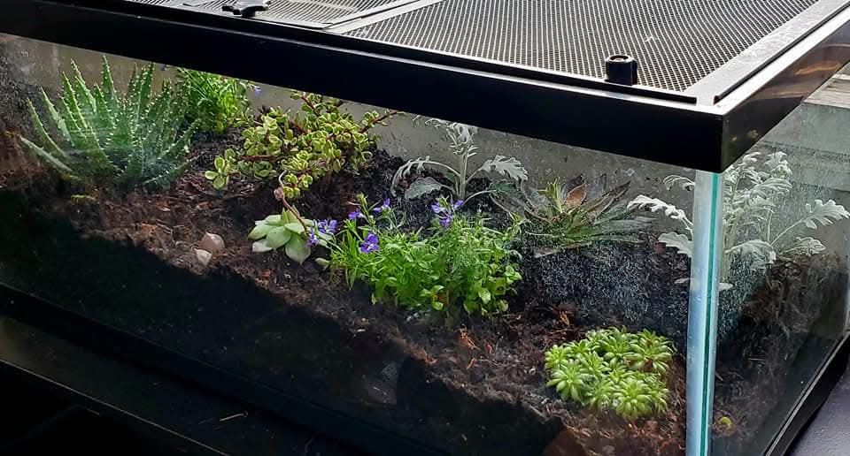 Wendy Spickerman tweet media