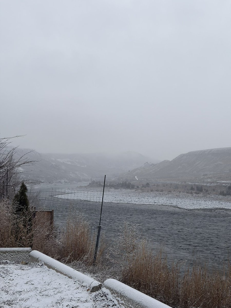 frooooooooooooooog tweet media