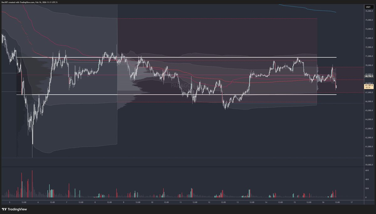 Doc tweet media