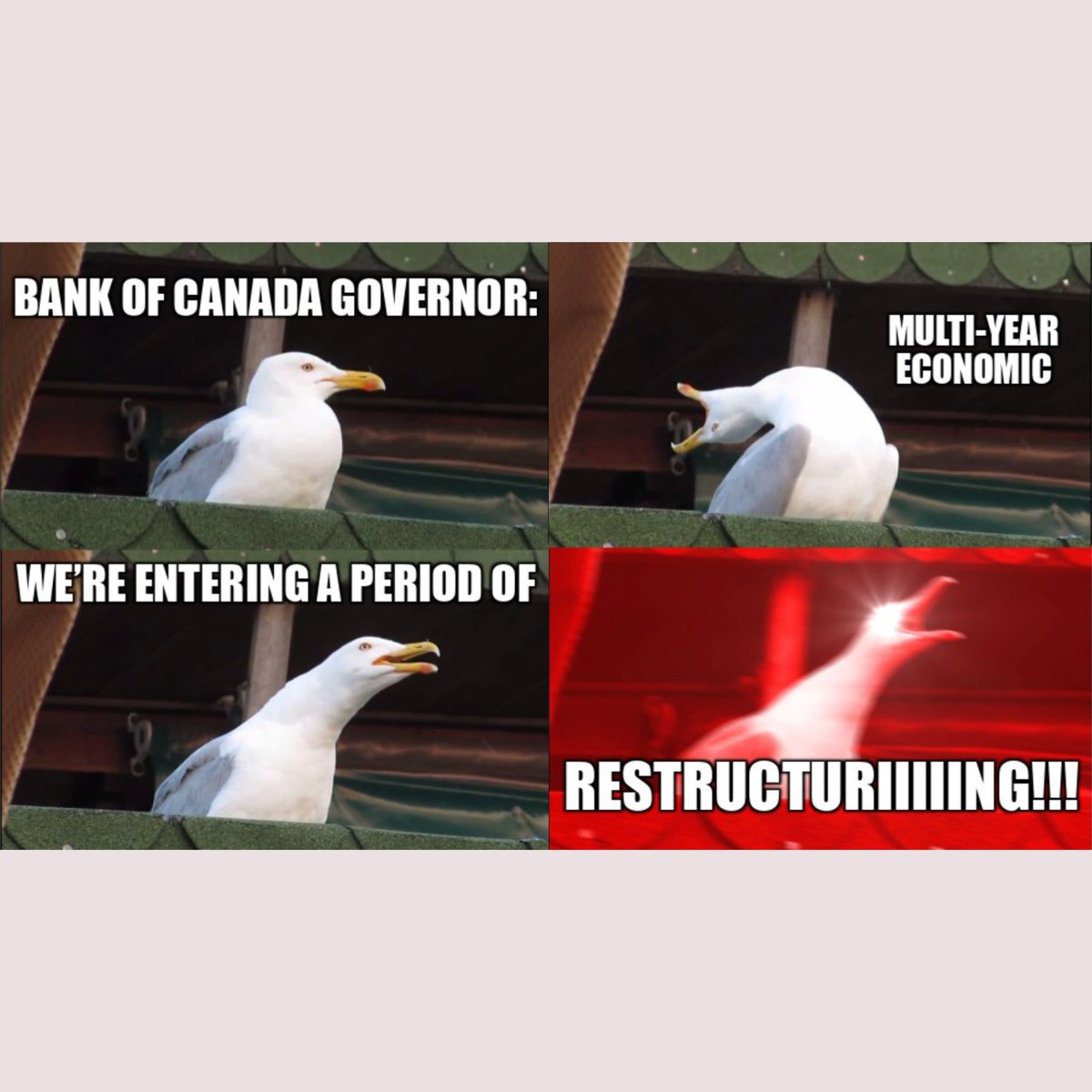 FundMore tweet media