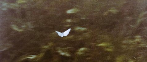 what is written to be yours is already yours..