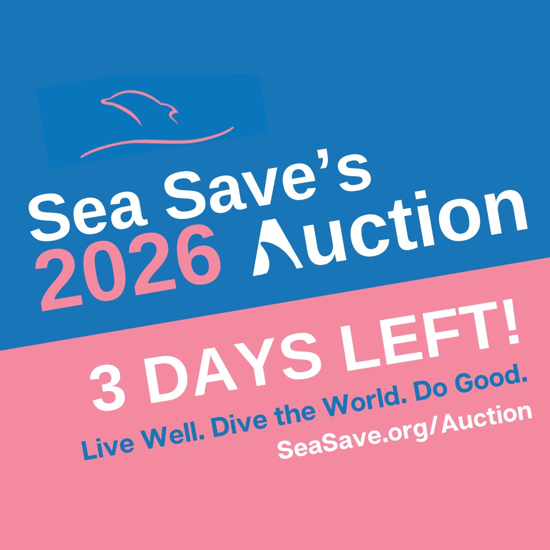 Sea Save Foundation tweet media