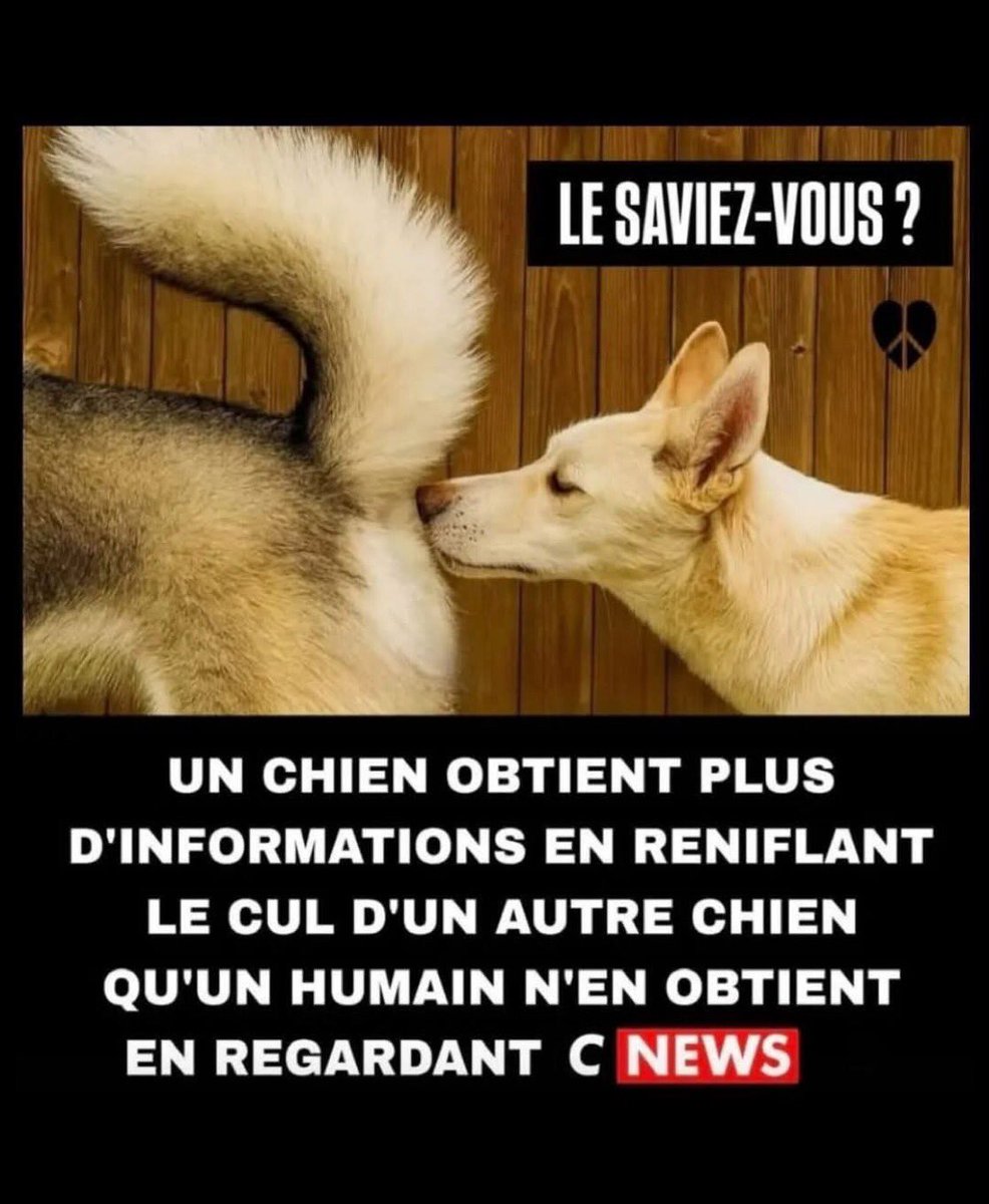 Encore un faux cul qui ment, au chaud, sur cette chaîne de fakes News H24/24.
Heureusement, celles et ceux qui bossent réellement sur le terrain, le remettent en place.
#TAEM