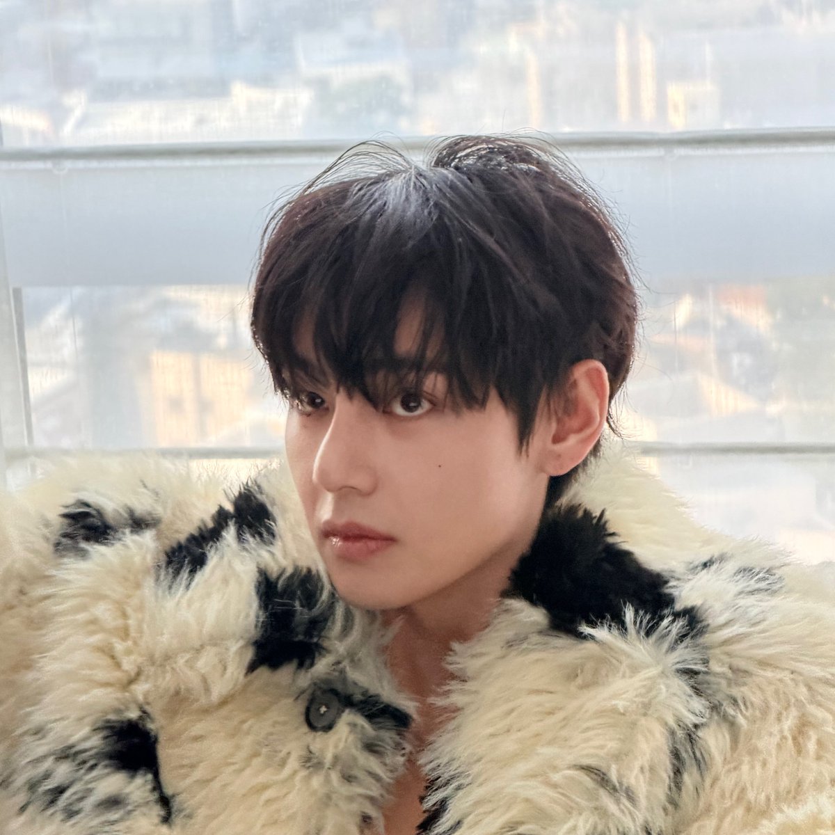 กะลุกแมวจิ๋วนิ