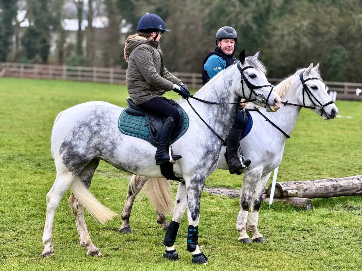 Warren Lamperd Coaching tweet media