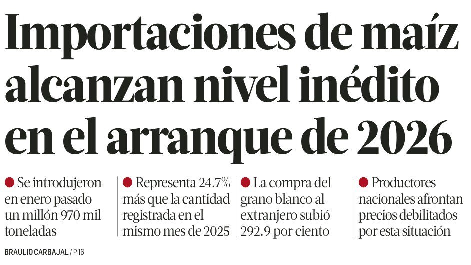 Juan_OrtizMX's tweet image. 🗳️📌  MÉXICO COMPRA MÁS MAÍZ QUE NUNCA DEL EXTRANJERO

México importó 1.97 millones de toneladas de maíz en enero de 2026.

Así lo reporta La Jornada.

Es el nivel más alto registrado para un mes de enero.

El aumento fue de 24.7% respecto a enero de 2025.

Los datos provienen de
