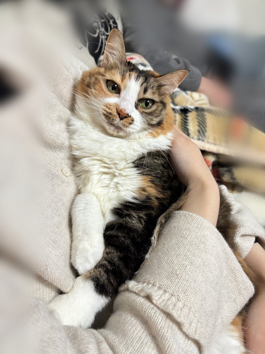 大家新年快樂🧧🎉🎆
開喜已經一年沒洗澡了！