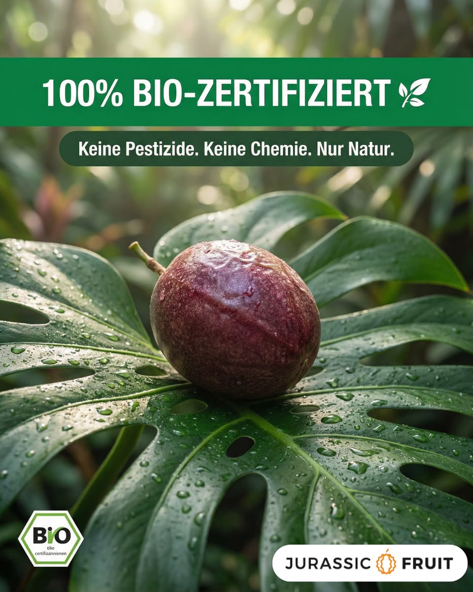 PLONDI47's tweet photo. Some Test Statics for a brand called Jurassic Fruit.

Germans selling high-quality tropical fruit, whether it’s summer or winter. Definitely Scaling.

That's their style. I just copied, and made better ones.
 
What do you think? https://t.co/XNxySesFaf