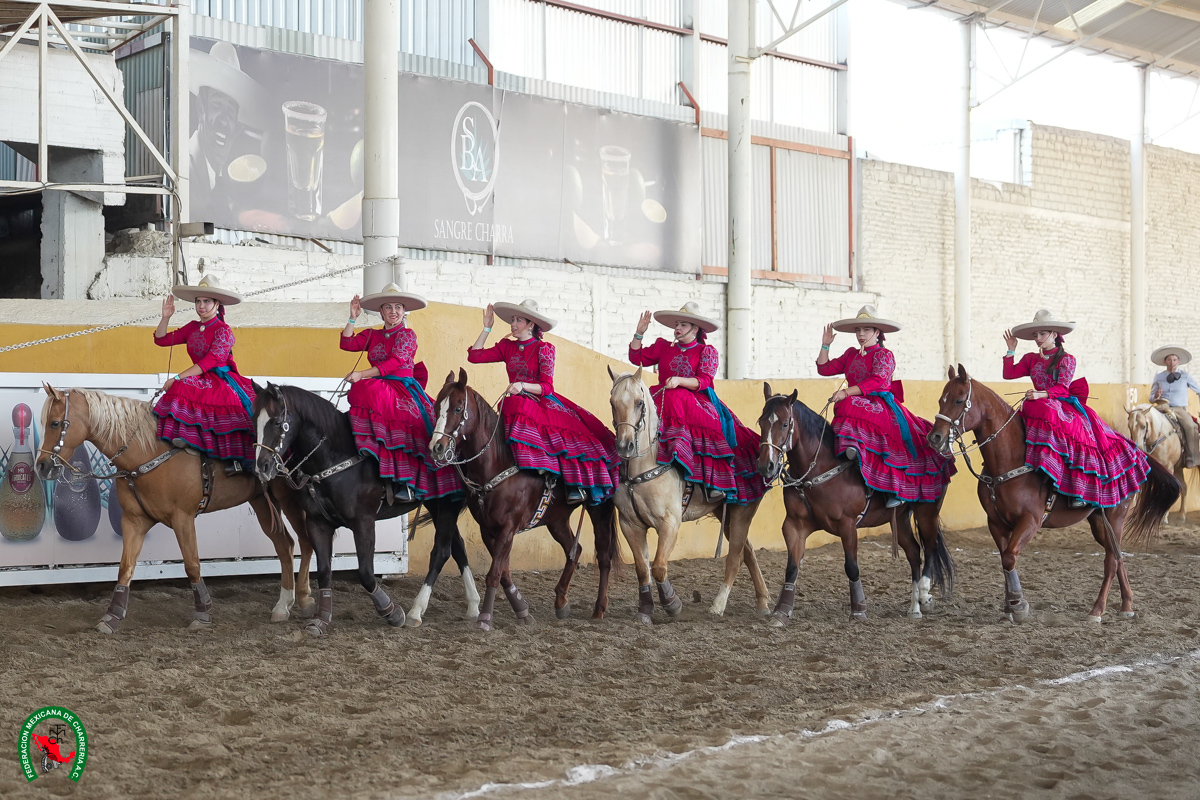 Margaritas y Rancho Mi Ilusión estuvieron cerca en la última charreada en Guadalajara

• Tanto las damas de Huentitán como el escuadrón poblano acariciaron la clasificación...

fmcharreria.org.mx/prensa/margari…
