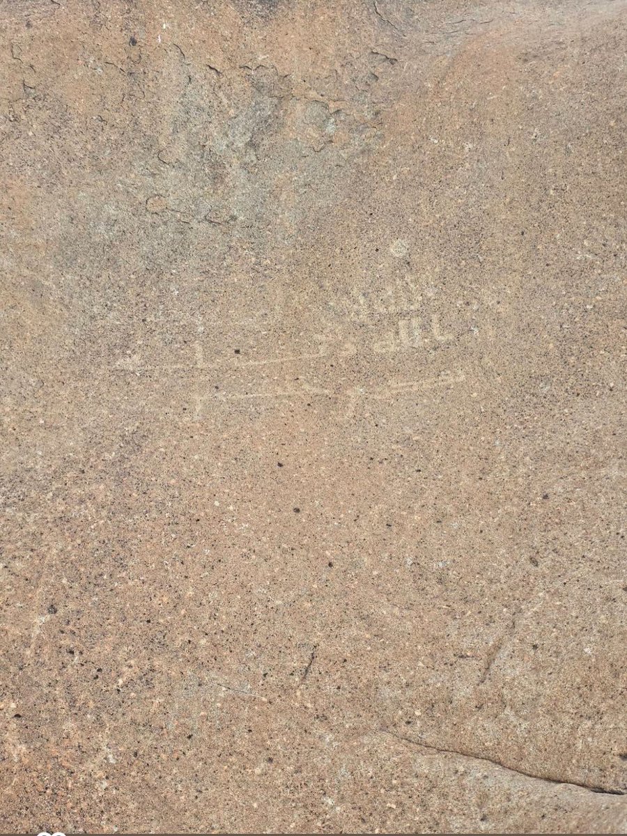 ᴜʟᴛɪᴍᴀᴛ tweet media