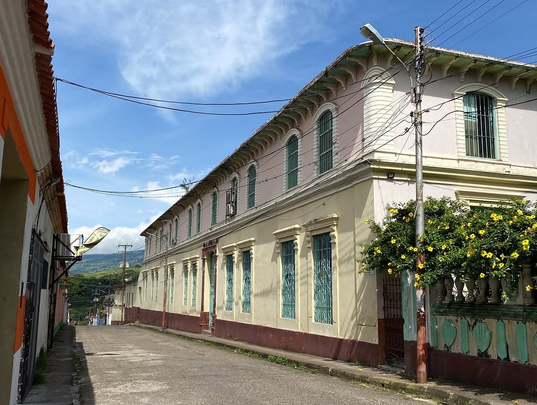 Venezuelensis Andium Venustas Aesthetics tweet media