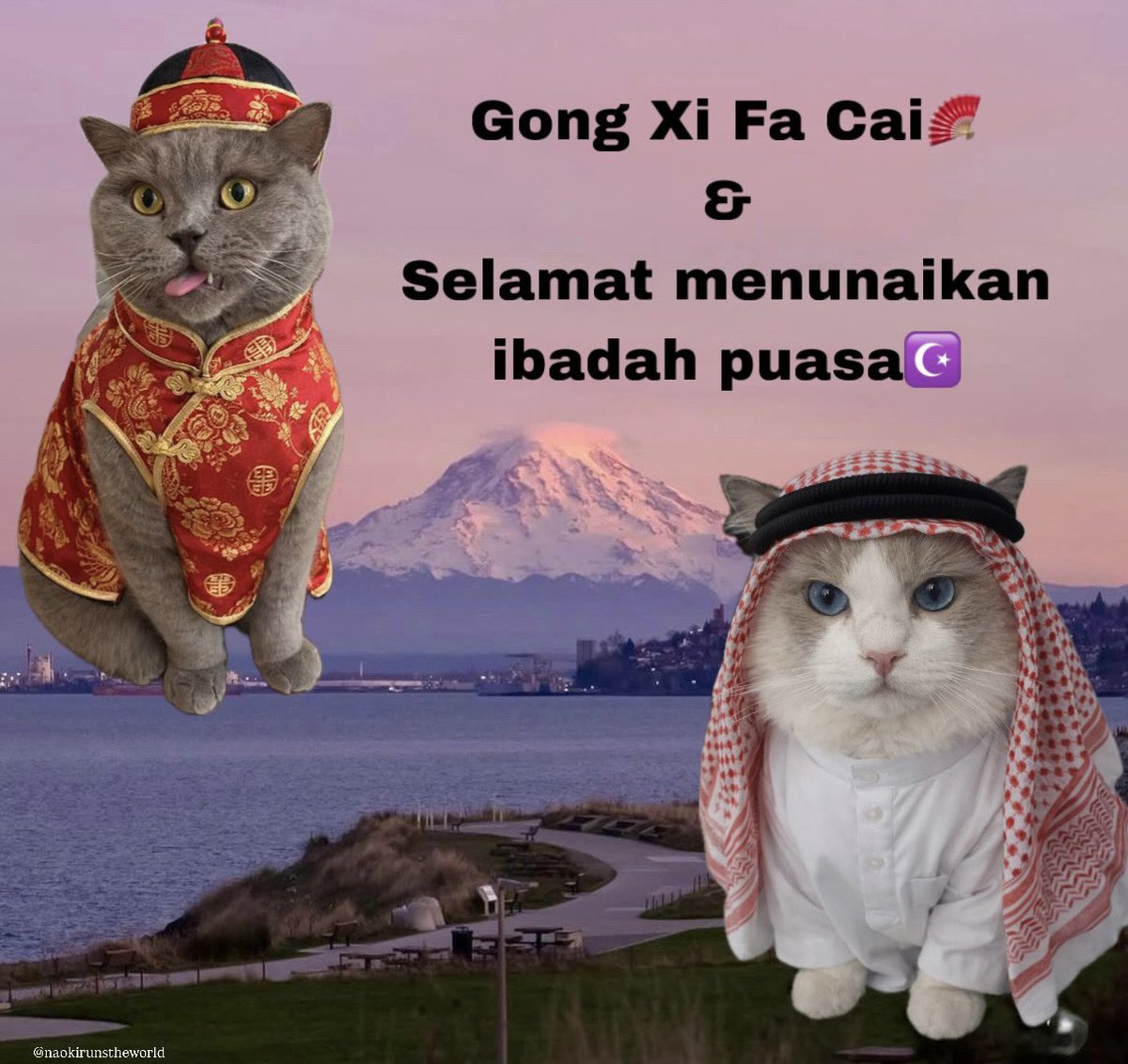 untuk yg butuh kirim2 di wa besok, bs pakai ini 🙏