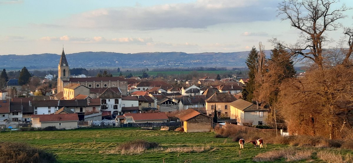 Damien Rieu tweet media