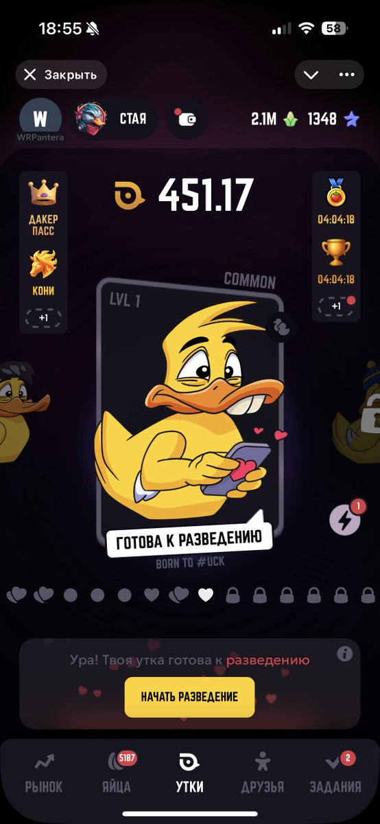 Stas888994427's tweet photo. I like to feed ducks and breed them
#duckmyduck 
#dmd,
https://t.co/RUH3LJYrFF https://t.co/nc8Hk4FyVs