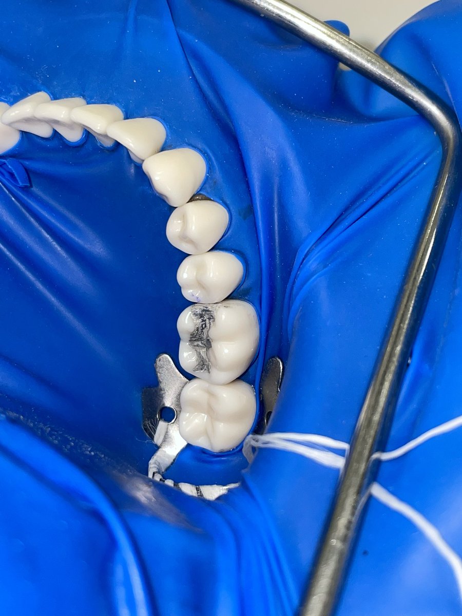 Hamad 🦷 tweet media